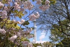 隅田公園。