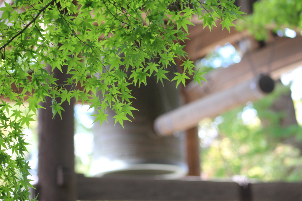 青紅葉 東漸寺鐘楼。