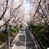 ふたつの桜坂 ひとつ目、福山雅治さんの桜坂。