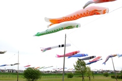 五月の空。