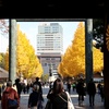 イチョウ並木 ‐ 靖国神社。