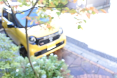 洗車日和。
