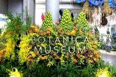 BOTANICA MUSEUM。