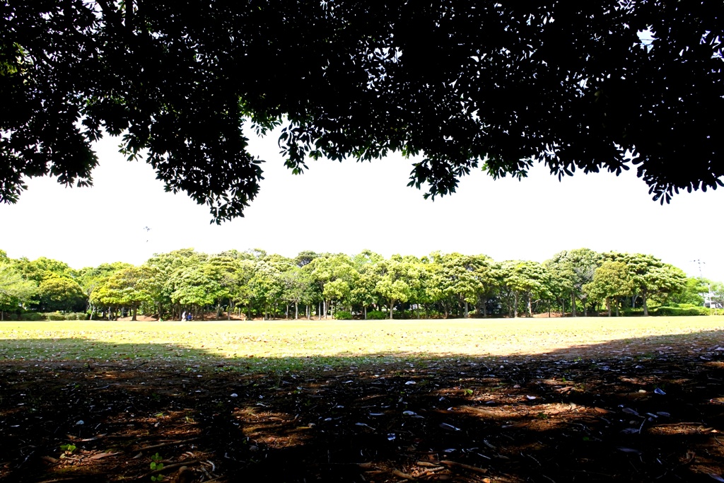 東西に細長い緑地公園。