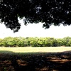 東西に細長い緑地公園。