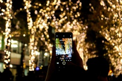 イルミネーション始まる。