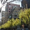 京橋柳通り。