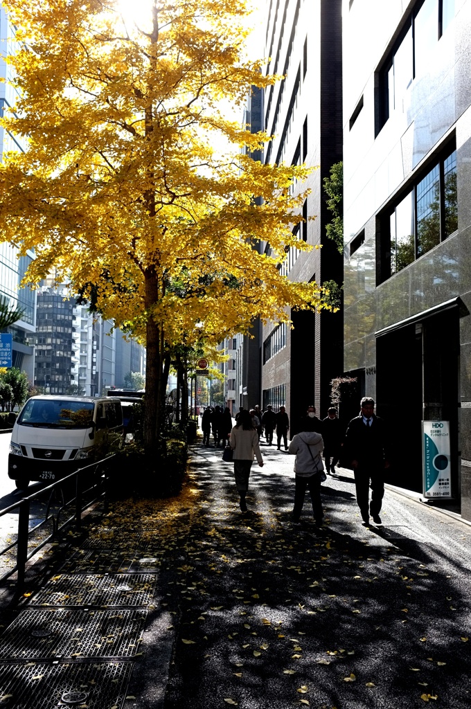 都心昼下がり。