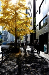 都心昼下がり。