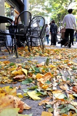 木枯らし1号が吹いた日。