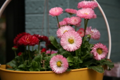 玄関先にて。 玄関先にて。