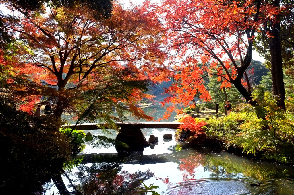 六義園 渡月橋。