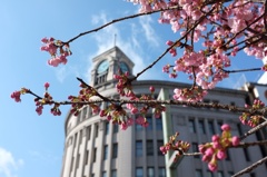 銀座四丁目の春。