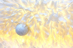 Whirling Wish ～ 純白の羽根 ～。