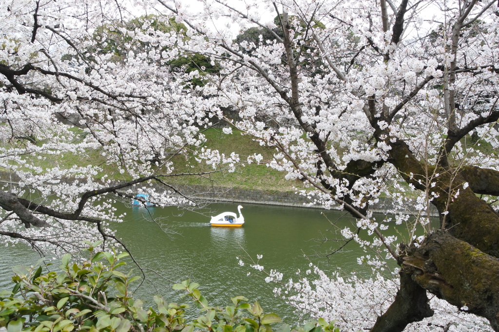 ボートがよく似合う。