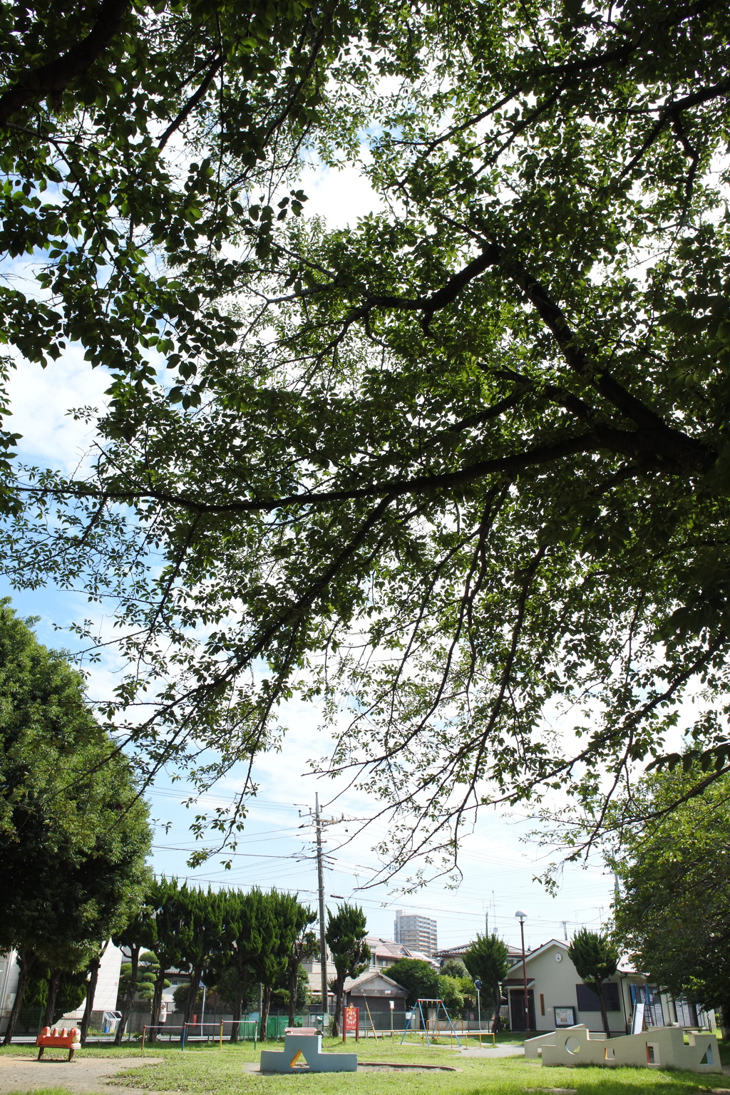 三角公園。