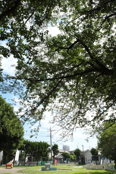 三角公園。
