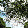 三角公園。