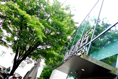 代官山蔦屋。