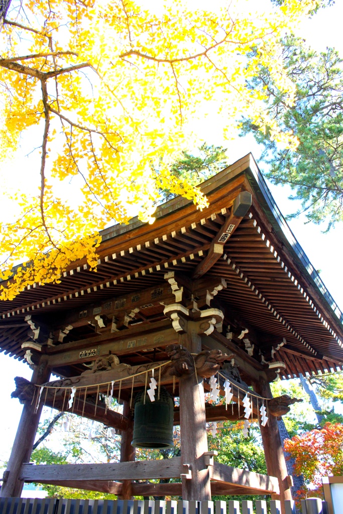 銀杏。
