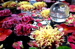 秋の花手水。