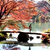 渡月橋。