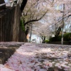 桜坂。