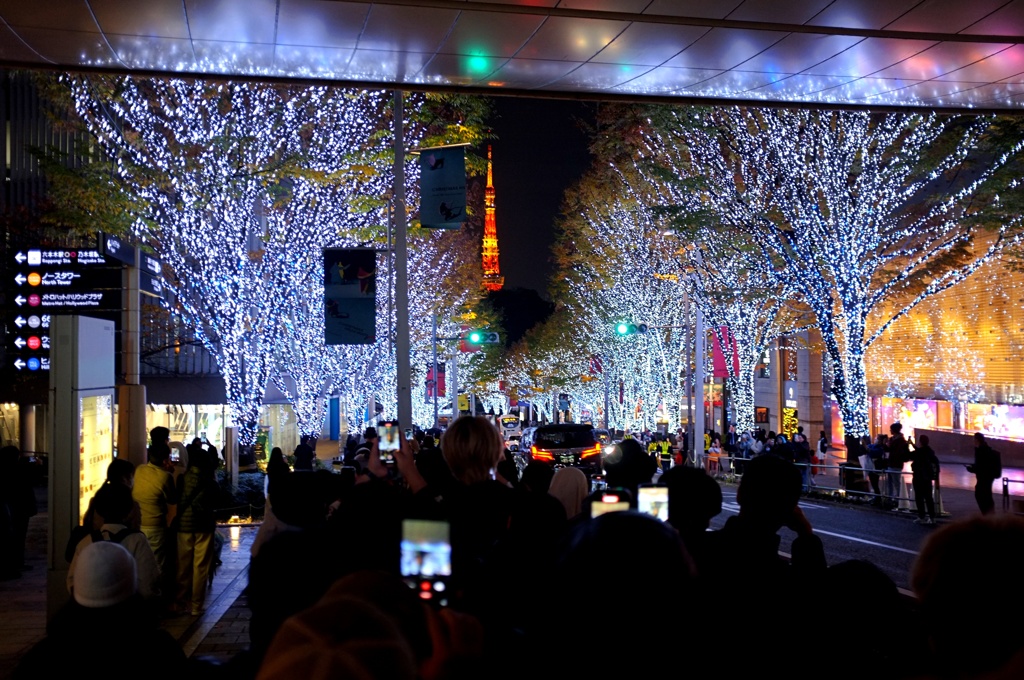 イルミネーション点灯。