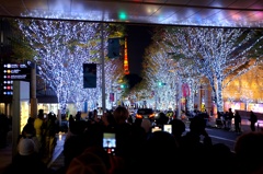 イルミネーション点灯。