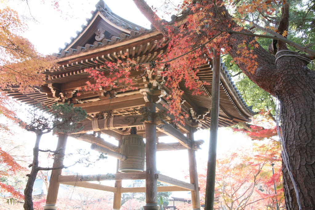 2021紅葉