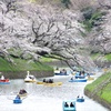 千鳥ヶ淵。