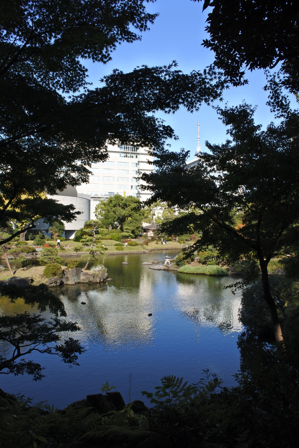 青空を写す池 彼方にはスカイツリー。