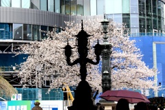 日本橋。