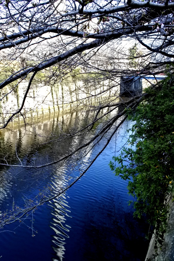 みなも 水面。