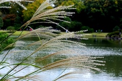 明後日は満月、スーパームーン。