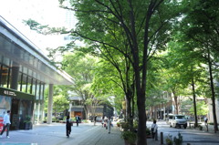 FUJIFILM FinePix X100 で撮ってみた。