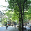FUJIFILM FinePix X100 で撮ってみた。