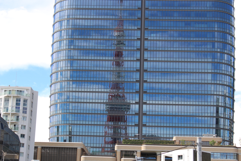 skybus の車窓から 東京タワー。