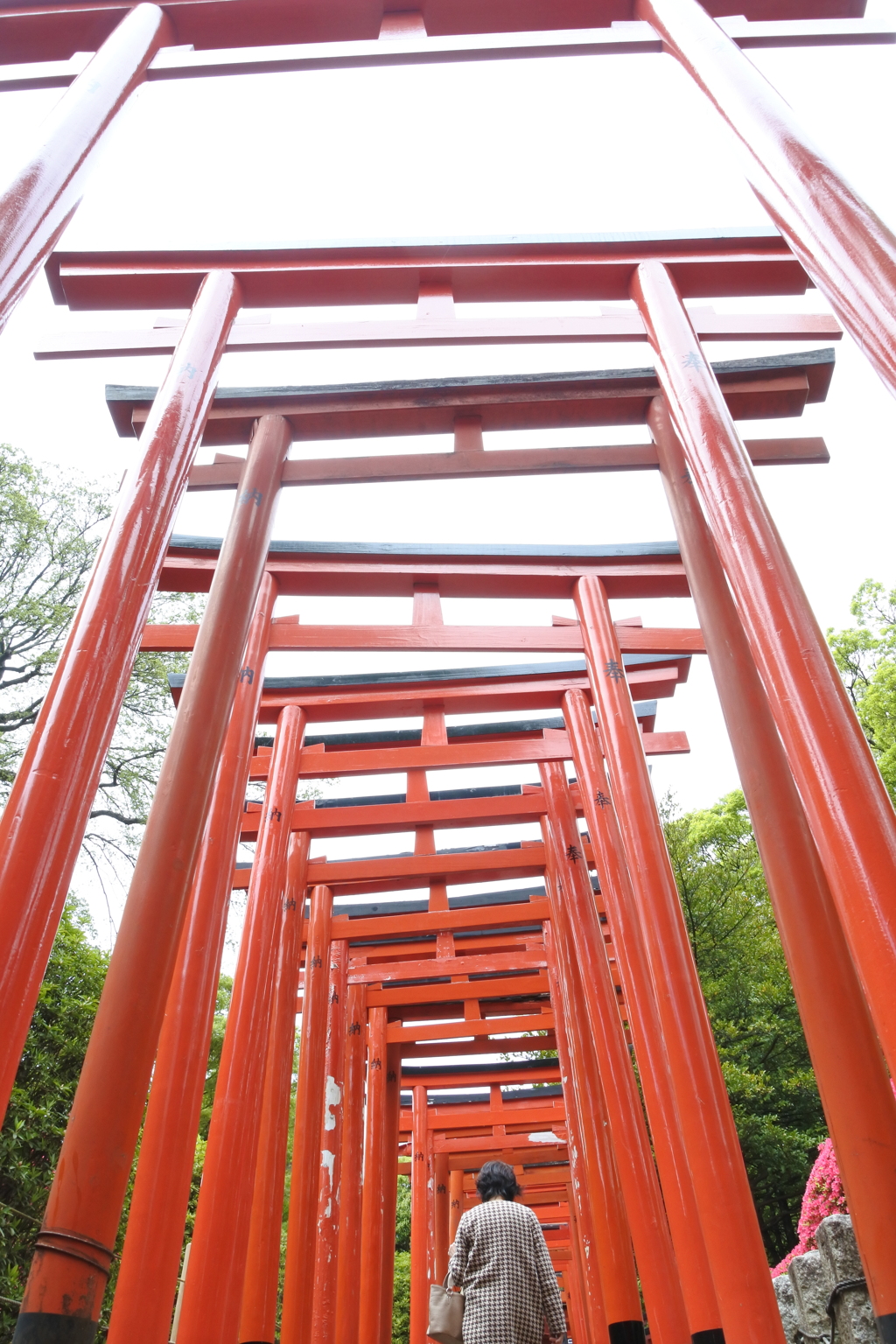 根津神社 乙女稲荷の千本鳥居。