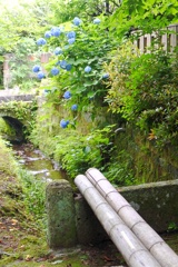鎌倉 山ノ内。