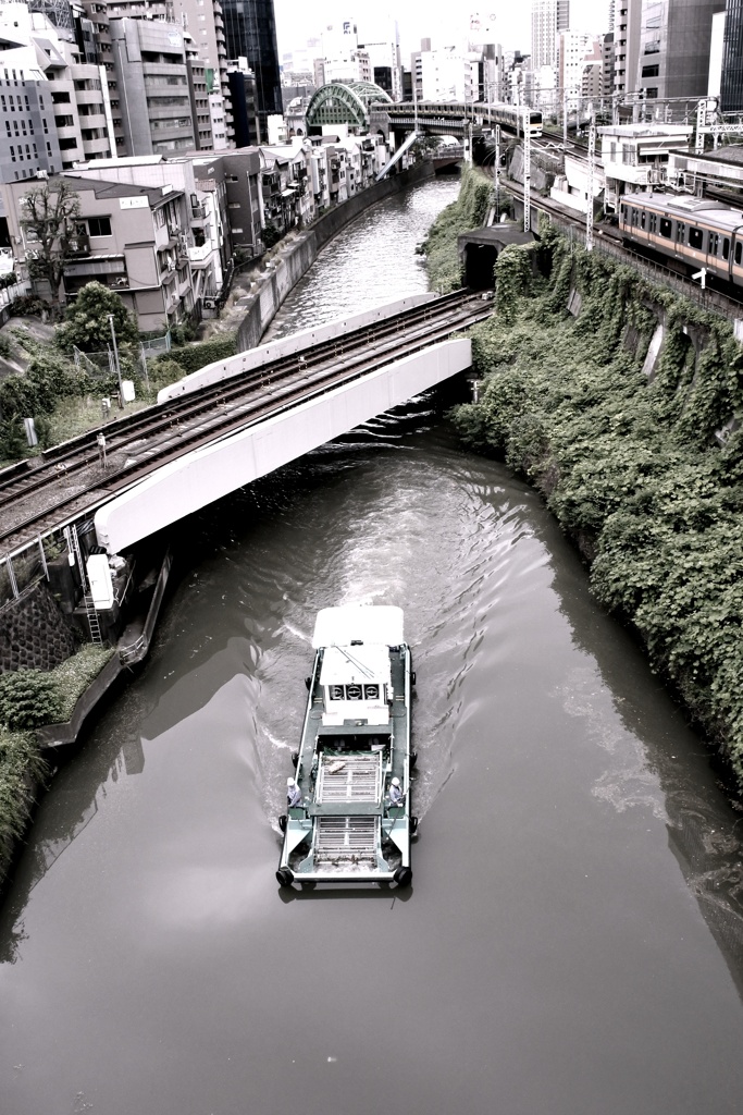 神田川 聖橋 御茶ノ水。