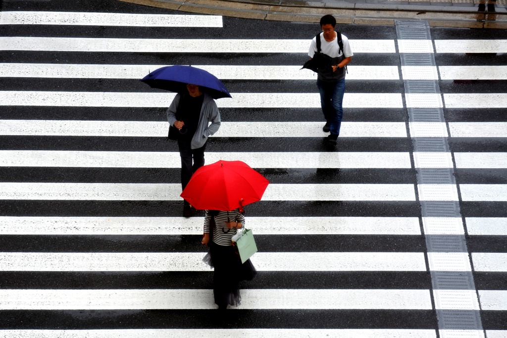 横断歩道。