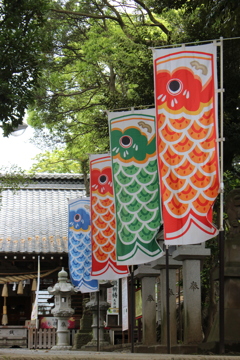 鯉幟【こいのぼり】＾＾ｗ。
