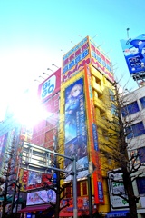 AKIBA。