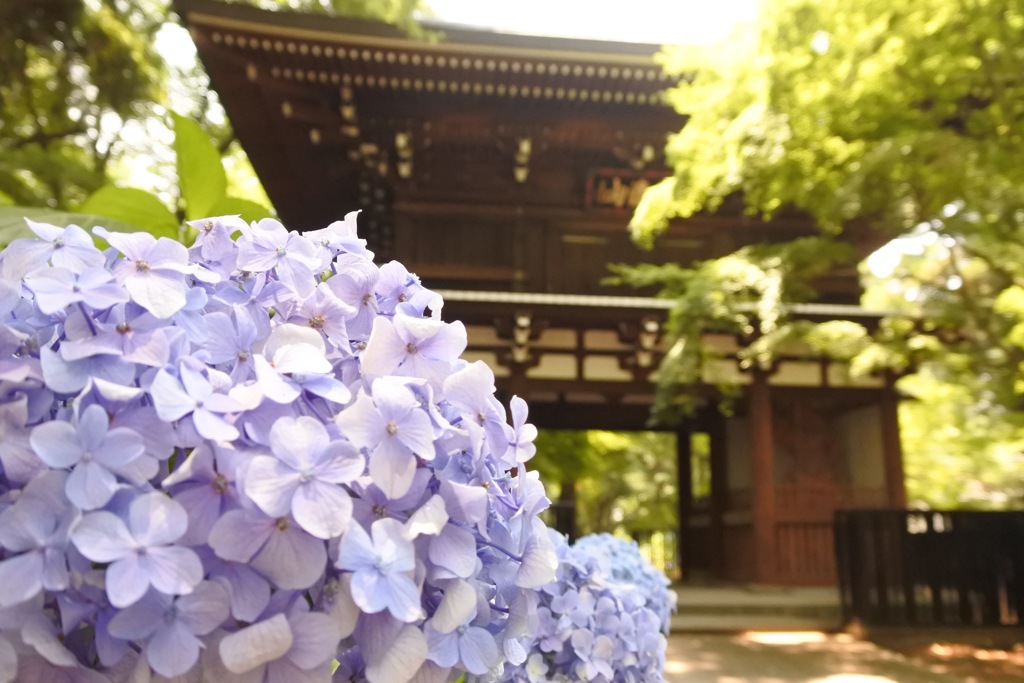 東漸寺山門。