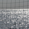 光る海。