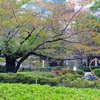 秋 毛利庭園。