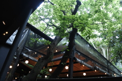 時々雨、テラス席。