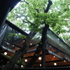 時々雨、テラス席。