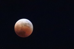 皆既月食って真っ黒じゃなく赤い月なのね。